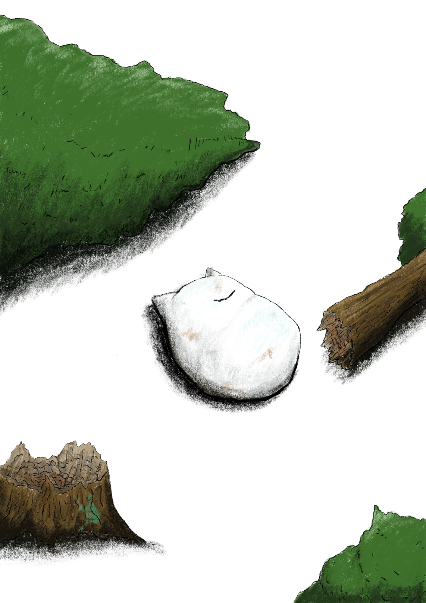 個展が終わって感じたこと｜見てもらうことで初めて分かったこと